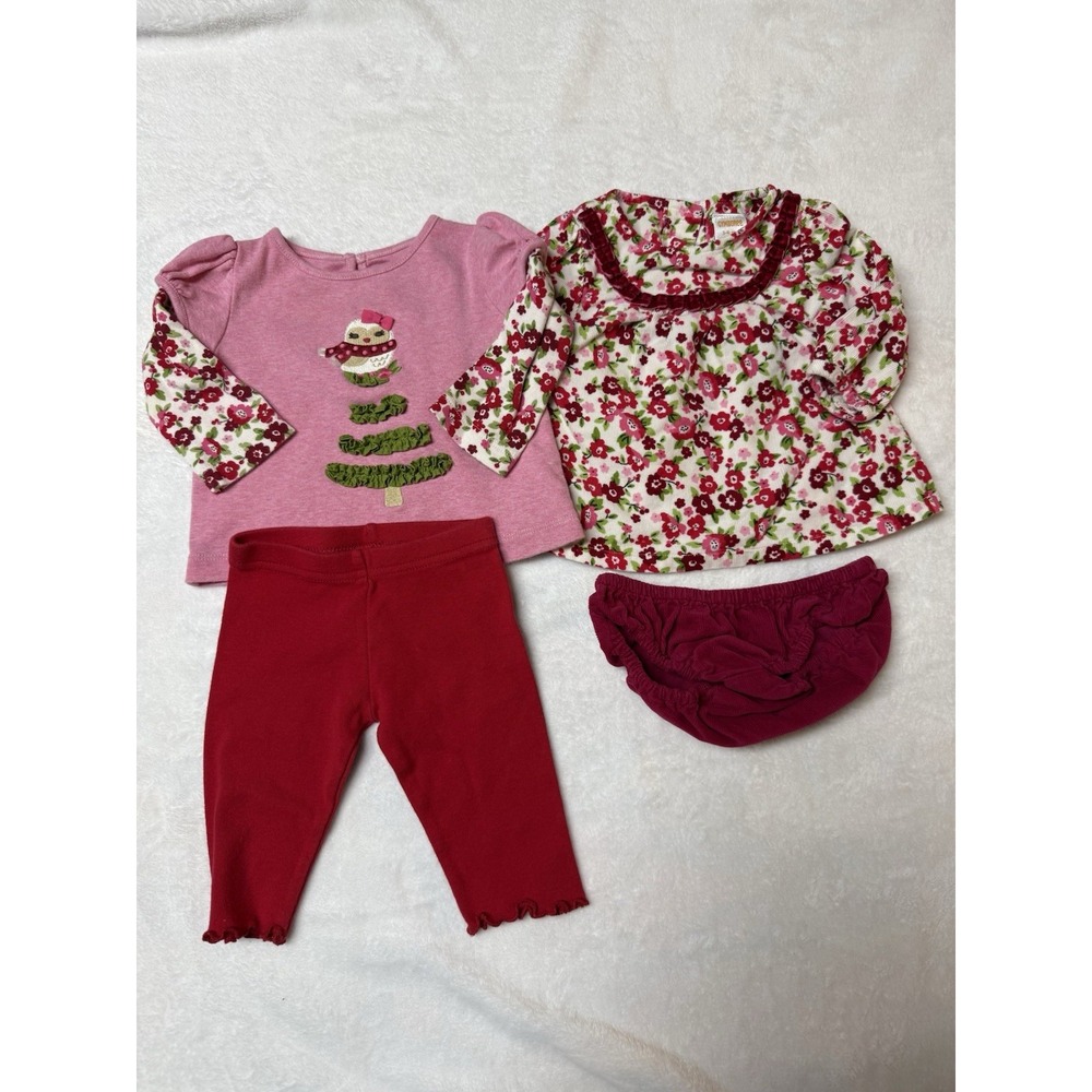 Two Gymboree 2011 "Cozy Owl" Baby Girl Outfits Size 3-6 Months EUC